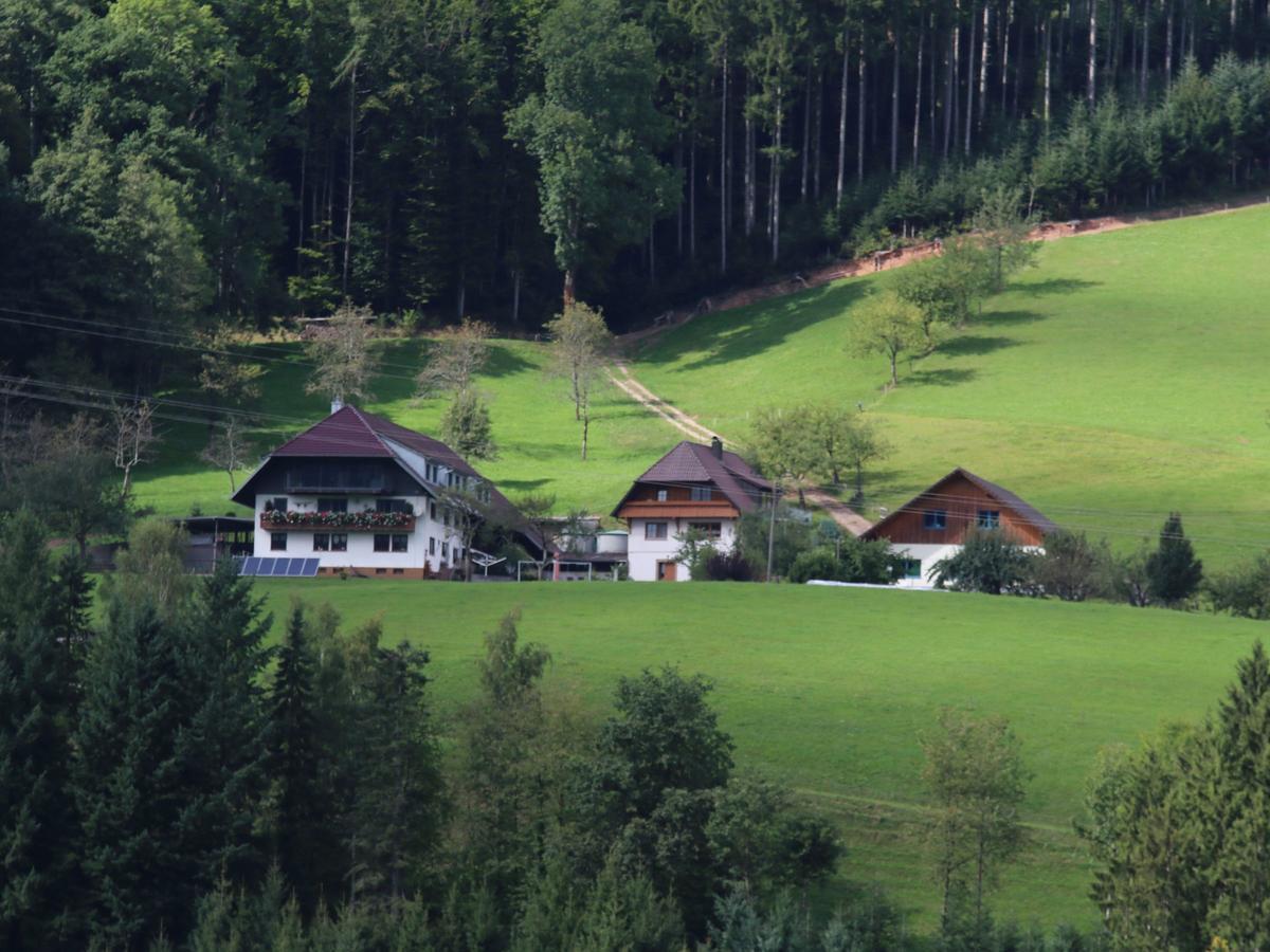 Vordersbergerhof Apartment Hausach Exterior photo